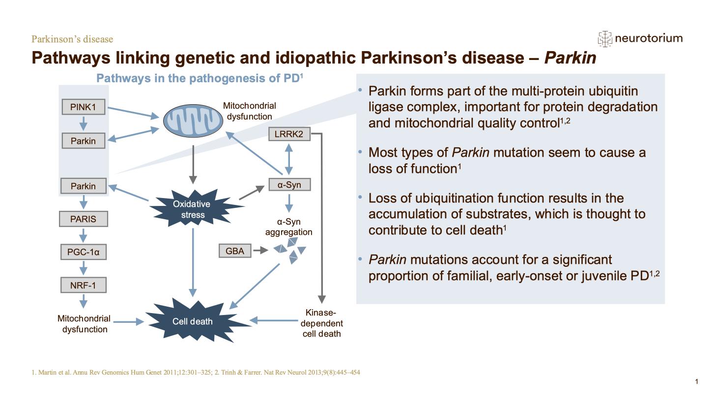 Parkinsons Disease – Neurobiology and Aetiology – slide 33